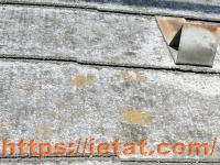 �R���j�A�������ɑۂ������Ă���Ε����ւ��������e�i���X�����ł��B