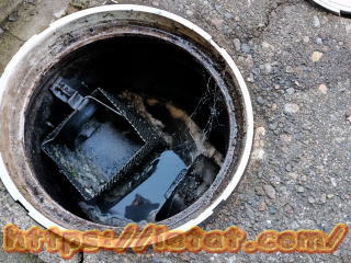 �r�����i�����e�j�̓���