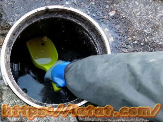 �r�����i�������j�����̐��|