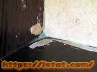 �V�z�̃J�r�����Ƒ΍����@