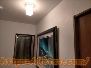 �G�������ꏊ�i�Ɩ��A�z���̎�ށj