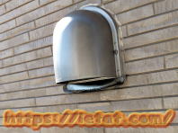 ���C��̉��O�t�[�h�̃X�|���W�ɂ�鐴�|