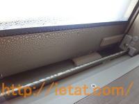 ���I�����T�b�V