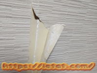 �ǎ��E�N���X�̕�C