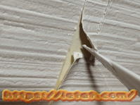 �w���ŋς�