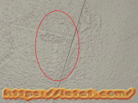 �ڒ��܂̃e�J��