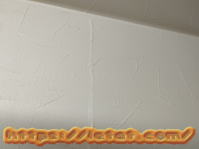 �}�X�L���O�e�[�v�𔍂���