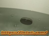 �G�R�L���[�g�̓����h�~�΍�