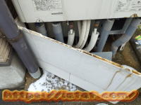 �{�̉��̃J�o�[���J����