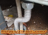 �r�����s���A�r������߂�