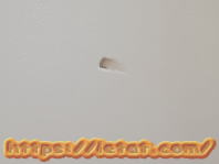 �V��ɋ󂢂���